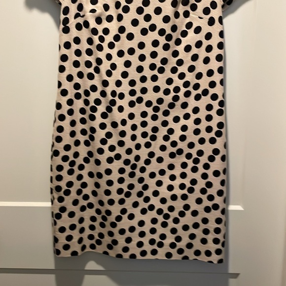 J.Crew 100% Cotton Cream & Black Polka Dot Shift Dress, Hidden Zipper Size 0 - Picture 5 of 6